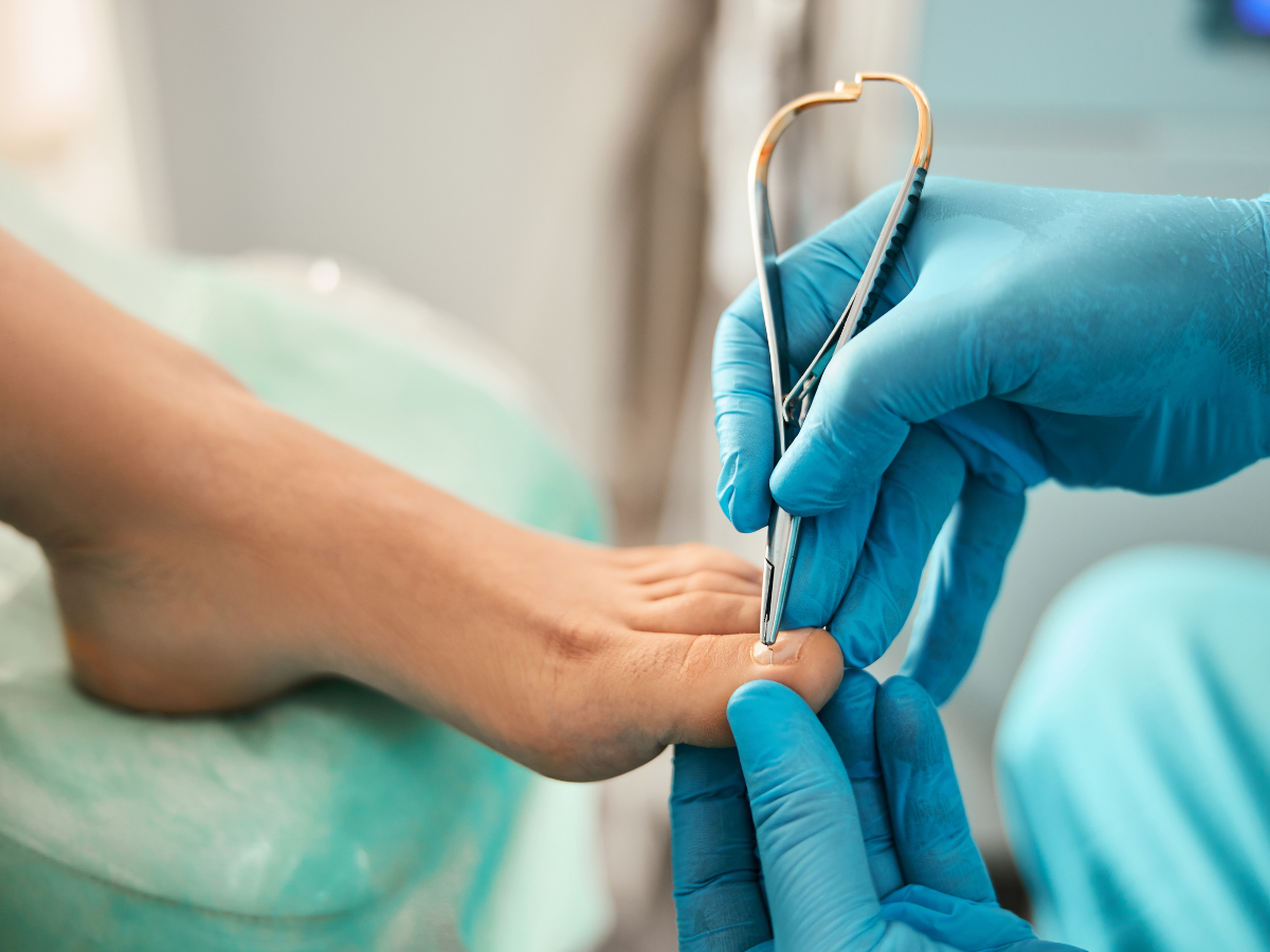 Diseño sin título (15)